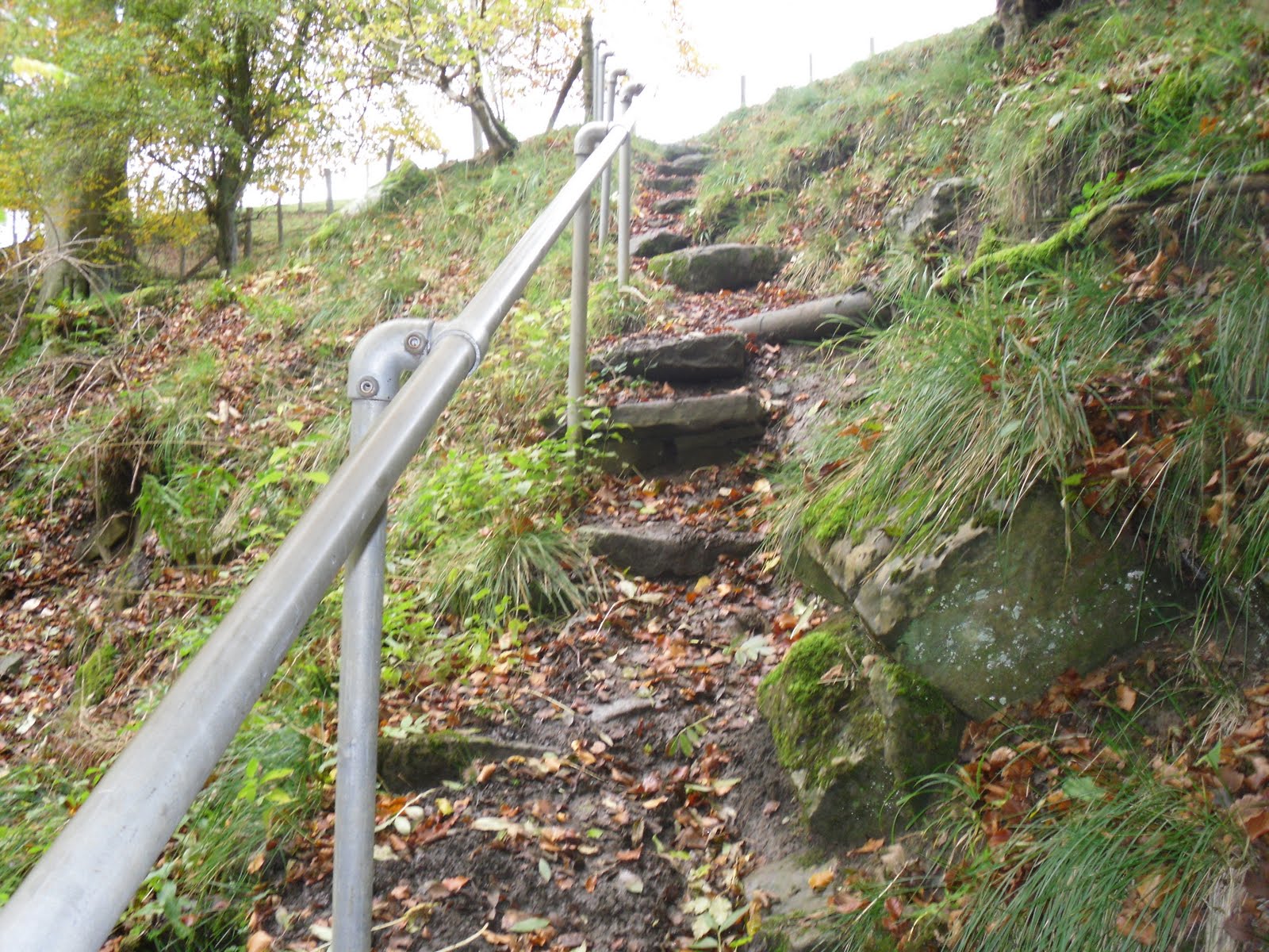 Rambling Nana Stanhope & Wolsingham Park Moor