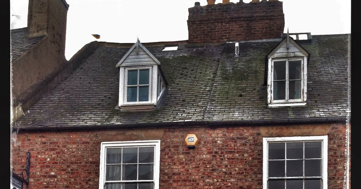 Martineau Guest House, Tynemouth North East Family Fun