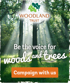 Help Save Woods and Trees