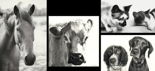 00-Dogs-Cats-Horses-and-Cows-Pencil-Drawings-www-designstack-co