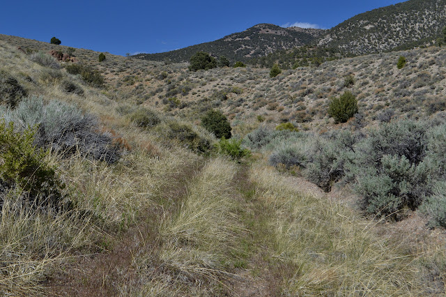 different grass sets off the tracks