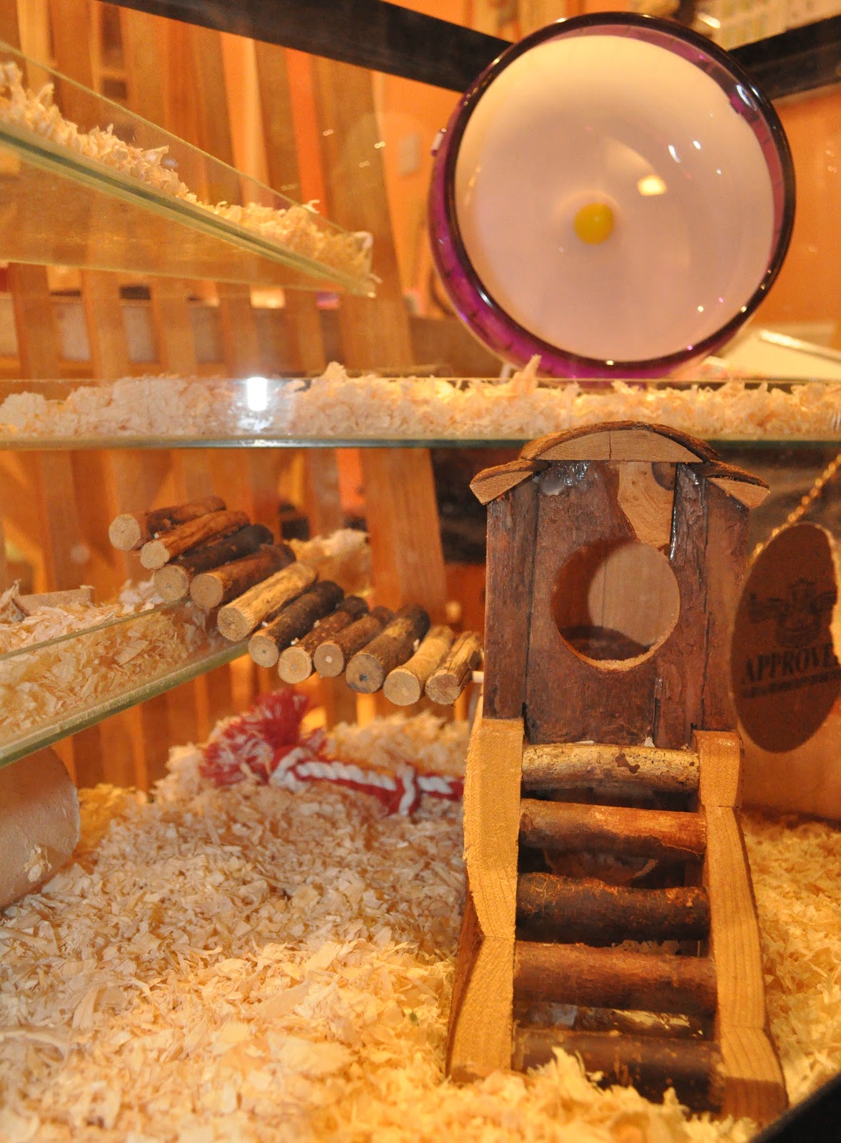 Animal Tails ) Hamster Cage Tour!