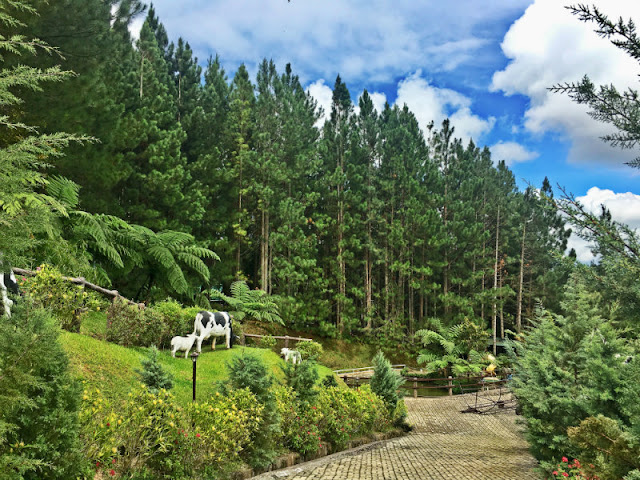 Dahilayan Forest Park Resort Dahilayan Forest Park Resort is one of the things to do in Bukidnon