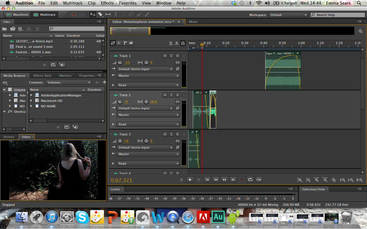 Metamorphosis A Divergent Process. Editing sound on Adobe Audition