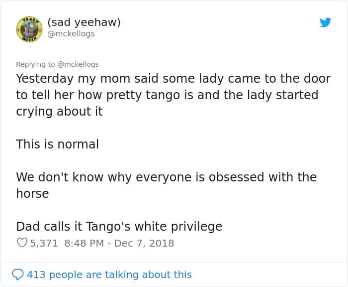 Meet Tango, The Hilariously Stupid Horse That Has Gone Viral Meet Tango, The Hilariously Stupid Horse That Has Gone Viral
