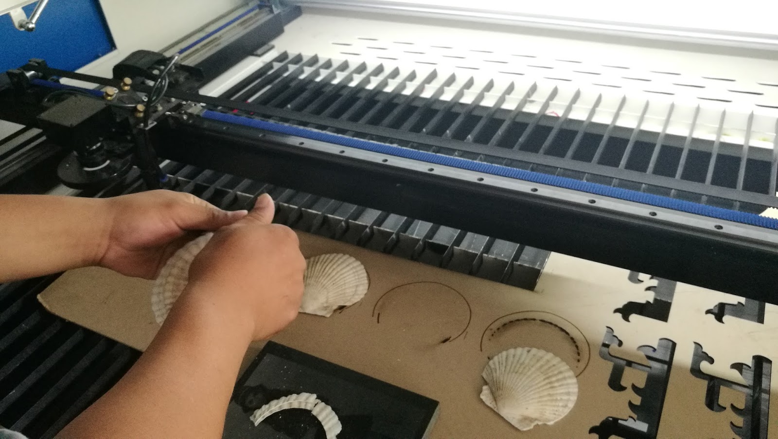 JinQiang laser CNC equipment Co,LTD shell cutting by JQ1390 co2 laser