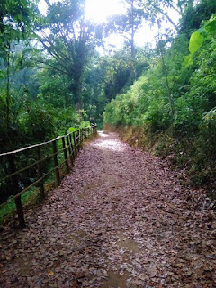 Akses Air Terjun Kali Bendo Akses Air Terjun Kali Bendo