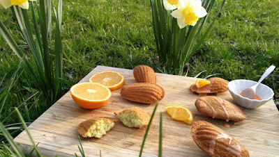 Orangen-Earl-Grey-Madeleines Orangen-Earl-Grey-Madeleines