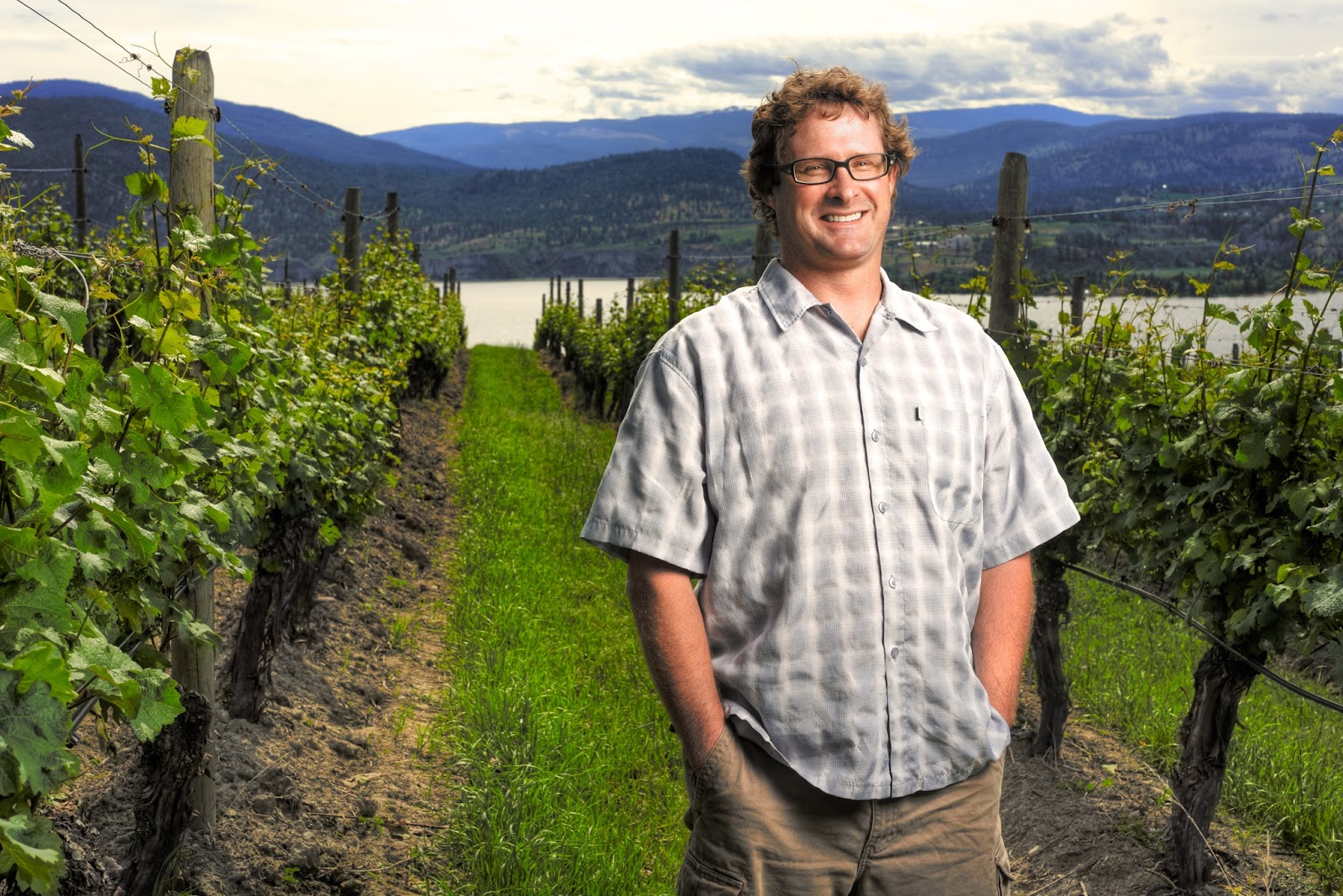 John Schreiner on wine: Lake Breeze scoops peers with 2015 wines