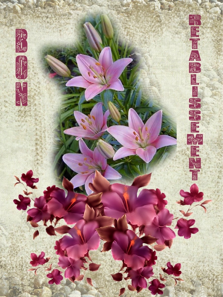 Bon Rétablissement Streaming Gratuit Nirvana-Santé: Bon rétablissement avec des fleurs