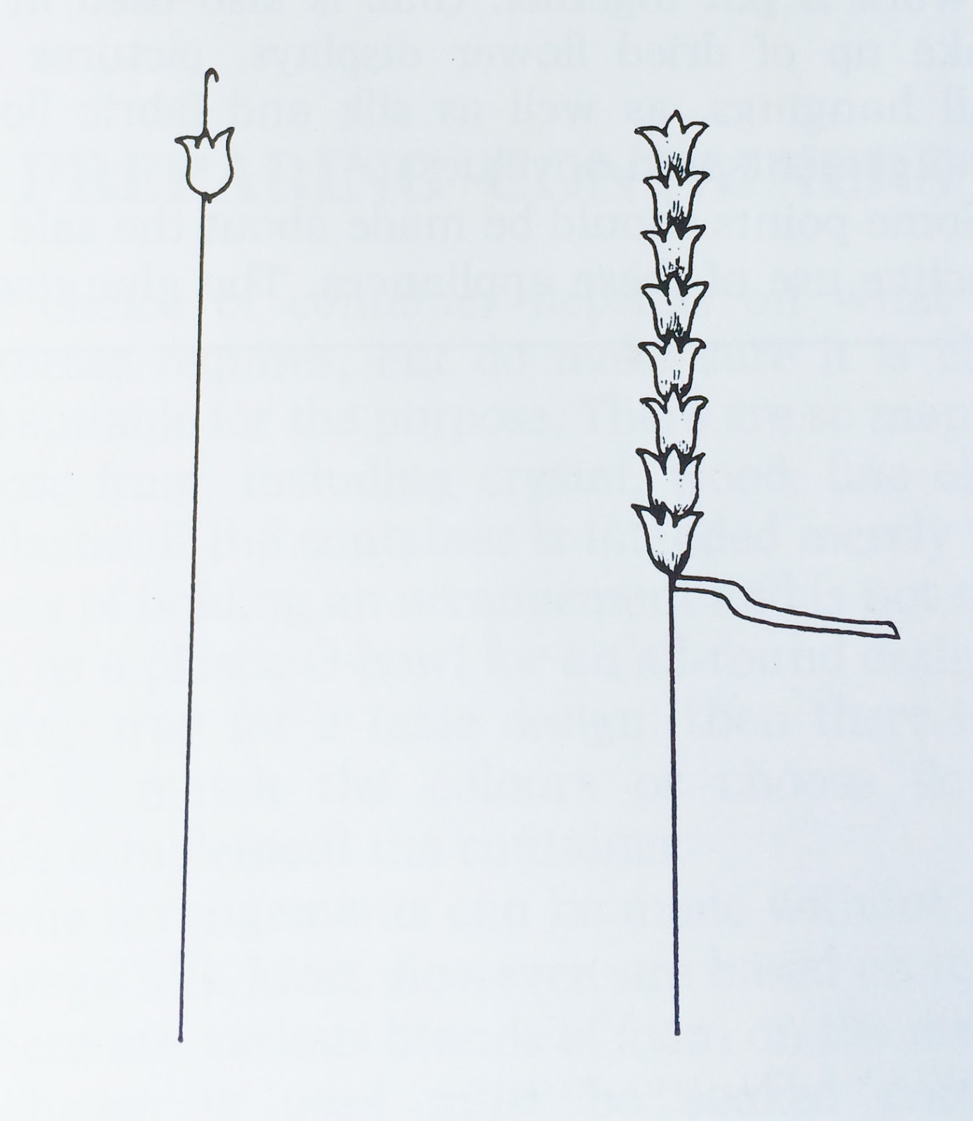 FLOWEROUND certainly, for you. Construction and Wiring Techniques