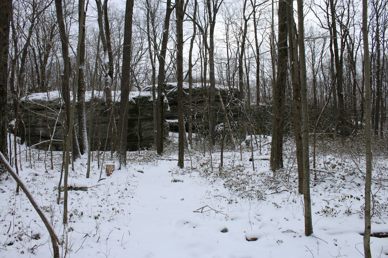 Panther Rocks, Moshannon State Forest near SB Elliott State Park