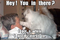 Gift of Nature: Best Funny Picture