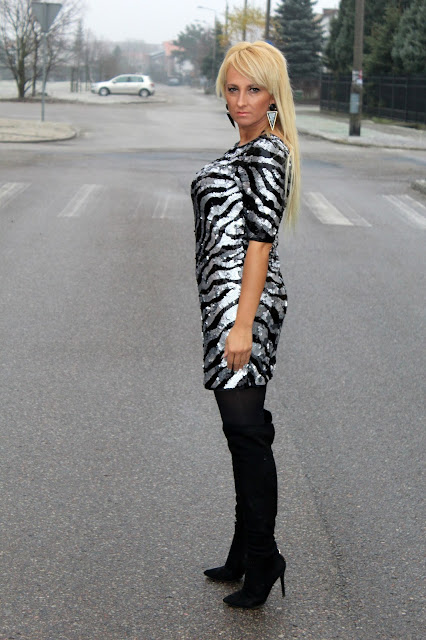 zebra.jpg