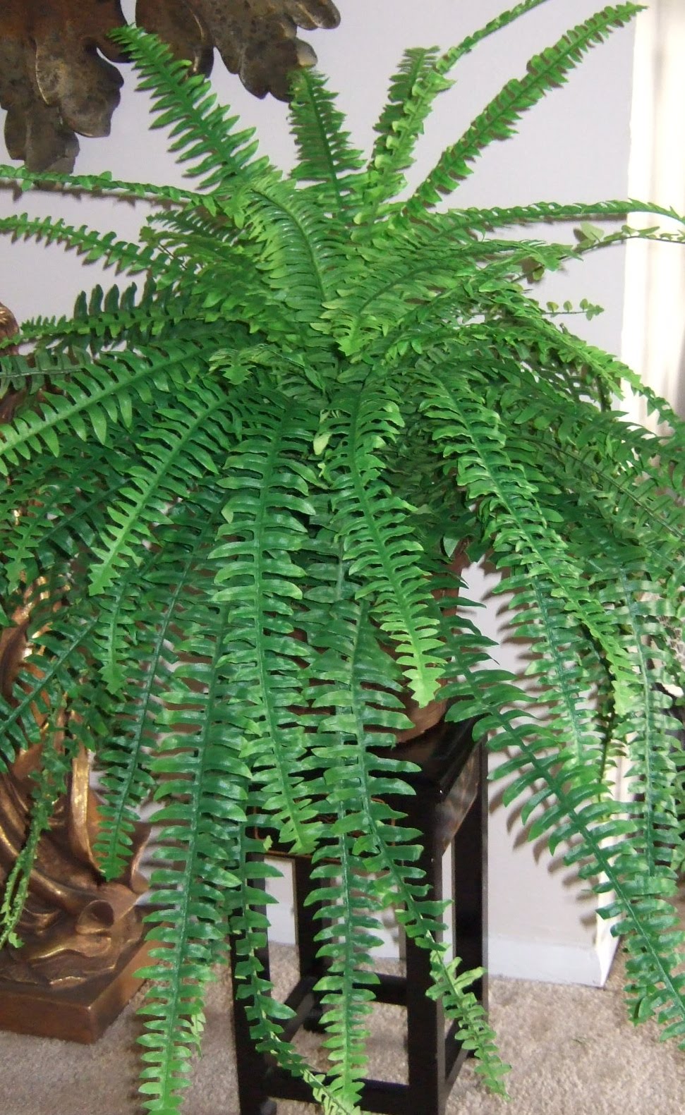 AnaSilkFlowers Images!!!...Greenerys, Ferns and Plants!!!