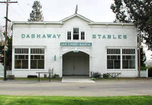 Dashaway Stables