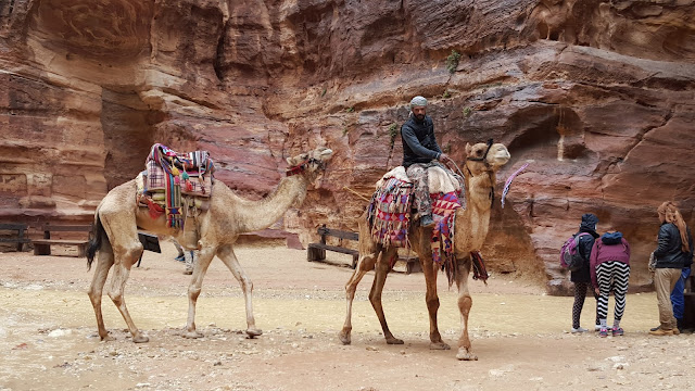 Petra, Jordanie, Jordan, siq, temple, travel, tourism, tourisme, voyages, aventure, adventure, landscape, paysage, elisaorigami