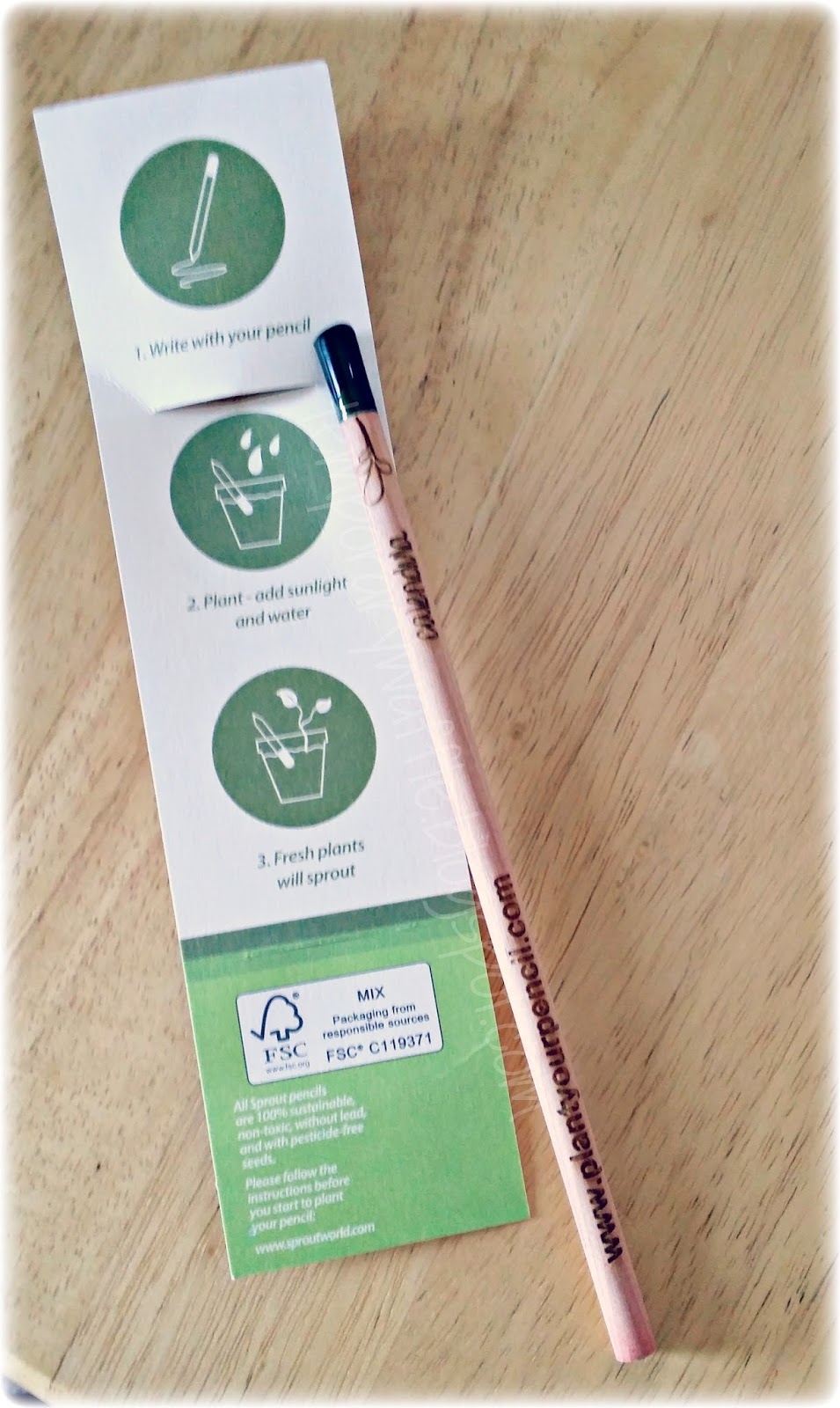 Temporary Waffle Sprout Pencil A Pencil You Can Plant!