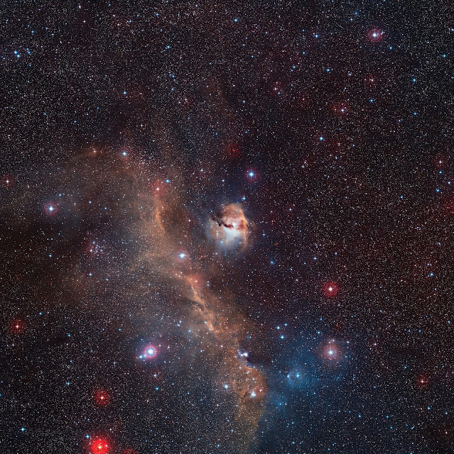 Wide-field view of the entire Seagull Nebula (IC 2177)