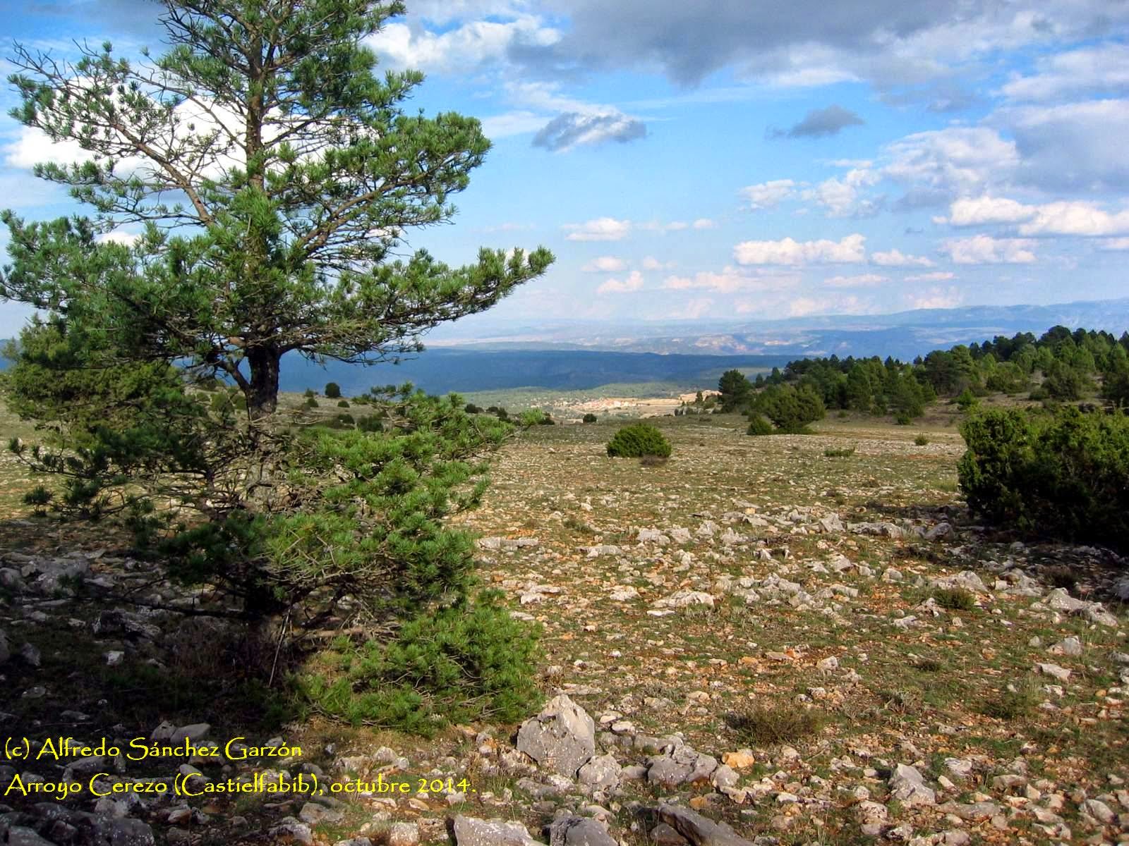 cruz-tres-reinos-veguillas-sierra-teruel cruz-tres-reinos-veguillas-sierra-teruel