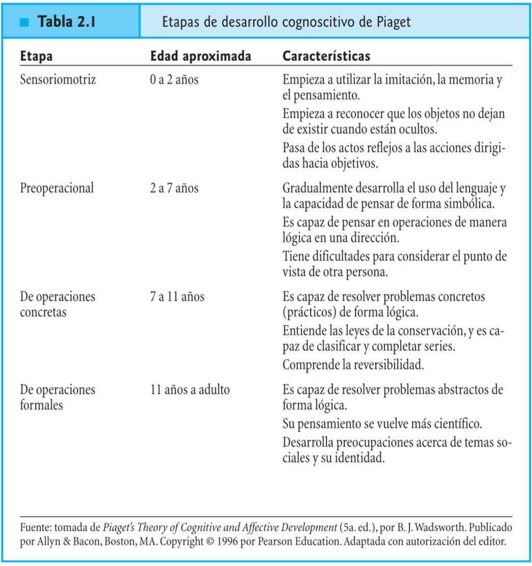 Etapas De Piaget 6379