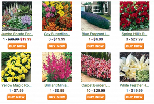 Show And Tell Meg Spring Hill Nursery 20 Off Just Pay Show And Tell Meg Spring Hill Nursery