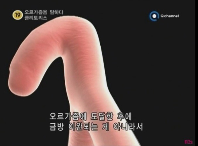 오르가즘을 말하다, 클리토리스 - 디쁠
