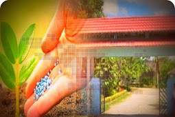 SMKN 4 Kota Jayapura Produksi Pupuk Kompos Campuran Rumput dan Sampah Plastik