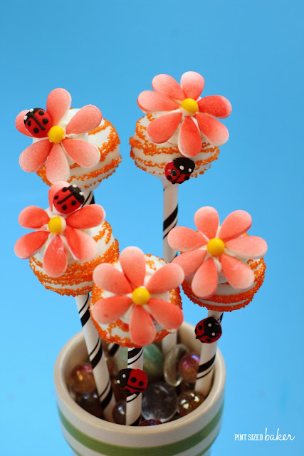 These Easy Candy Flower Cake Pops are perfect for your garden party with your little fairies. They would be so fun for birthday party favors.