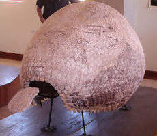 museo pikillacta