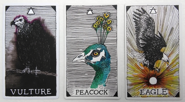 BOHEMIANESS: Oracle Deck Review: The Wild Unknown Animal Spirit Deck and  Guidebook