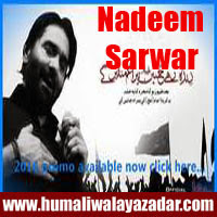 http://ishqehaider.blogspot.com/2013/07/nadeem-sarwar-nohay-2014.html