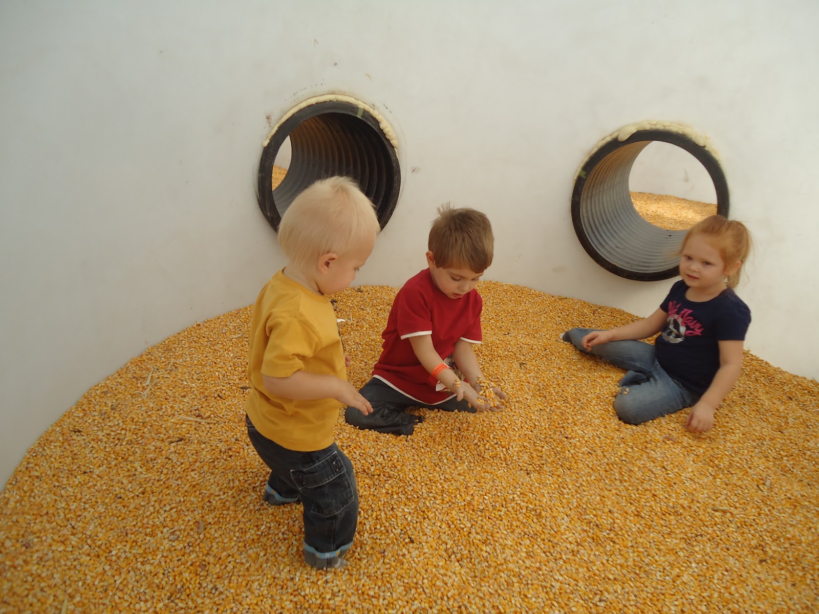 C'est La Vie Children in the Corn, or Why My Children Had Corn in