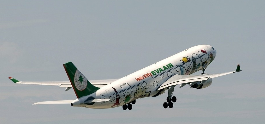American Airlines Animal Travel American Airlines Animal Travel