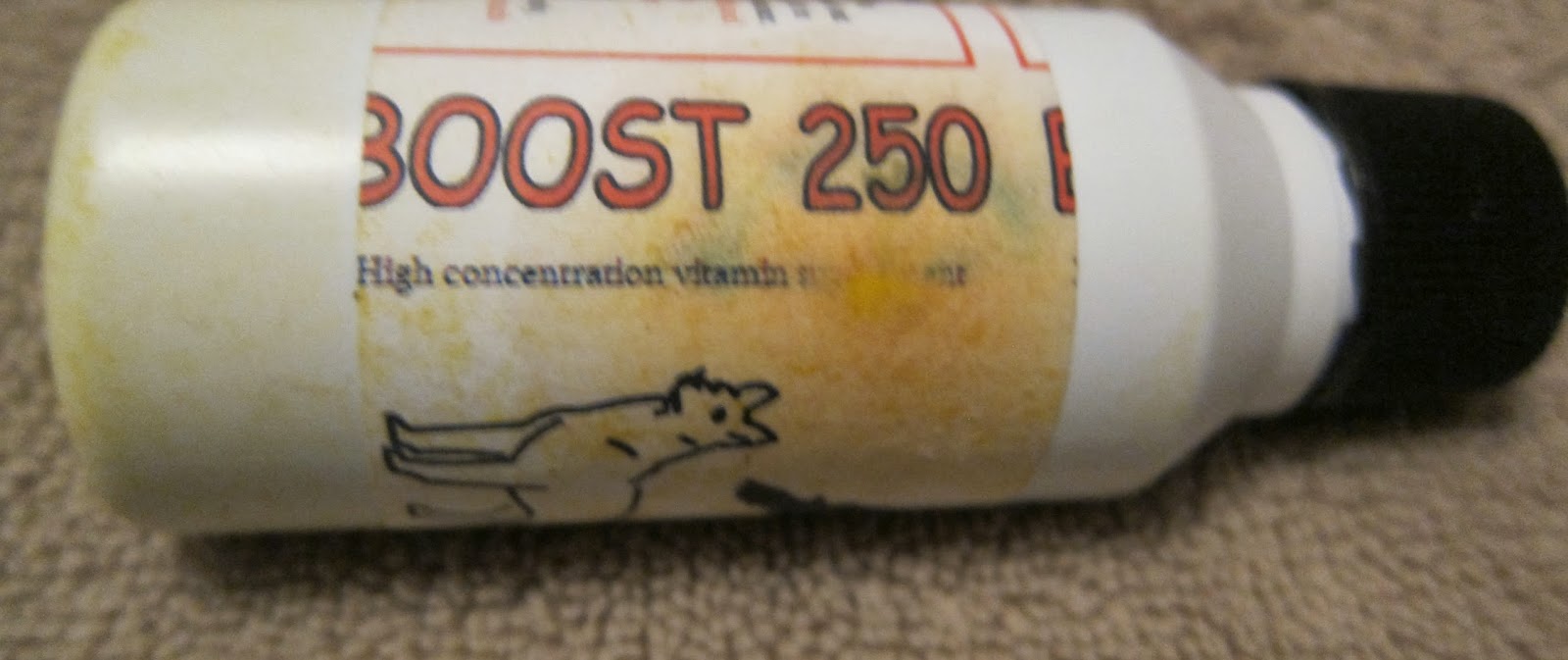 Canary Tales: Breaking News Boost 250 Available on eBay