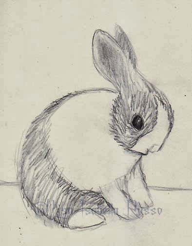 the Fine Art and Ramblings of Lisabella Russo: A Dutch Bunny Sketch ...