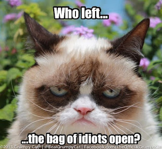 who left bag of idiots open, grumpy cat, new grumpy cat meme