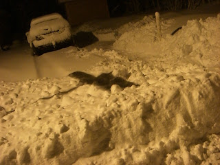 Sn%25C3%25B6plogning%2Bsom%2Bmotion%2B%25282%2529 - Svettig snöskottning som träning