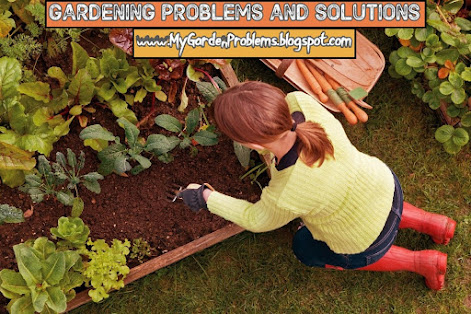 Gardening problems and solutions