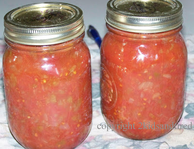 2-kids-and-tired-cooks-salsa