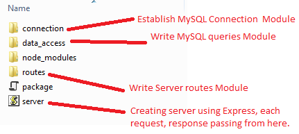 mysql establishing module connection creating codes node express