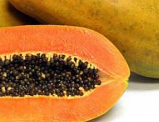 manfaat buah pepaya manfaat buah pepaya