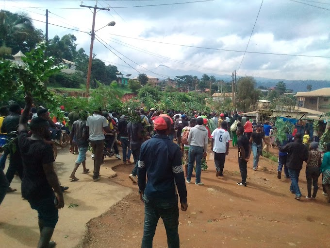 Anglophone Crisis: Street demonstrations across the North West Region 
