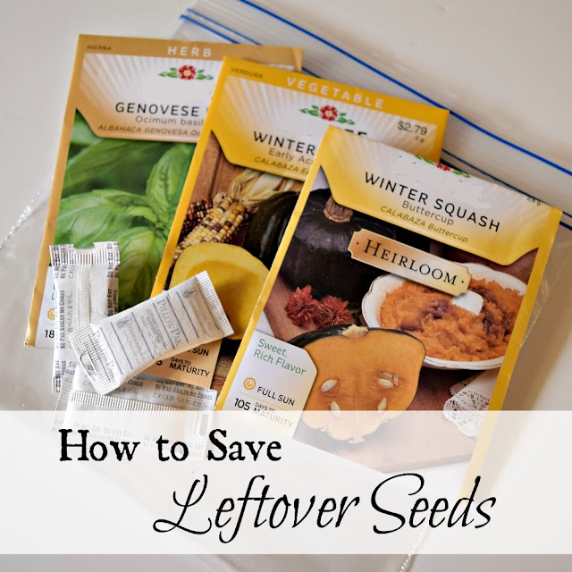 If you don't plant them all this year, can you save leftover seeds and plant them next year? Yes! Here's how to store them for the best germination rate.