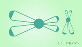 Soal Latihan Latihan soal biologi