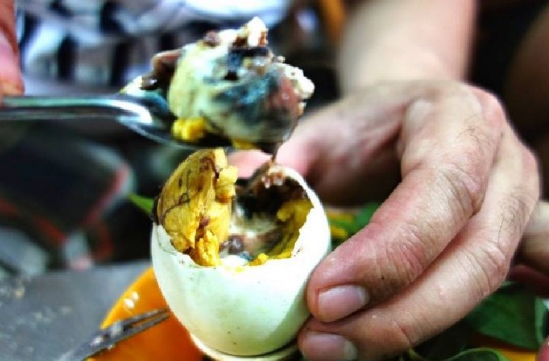 Embrio Bebek