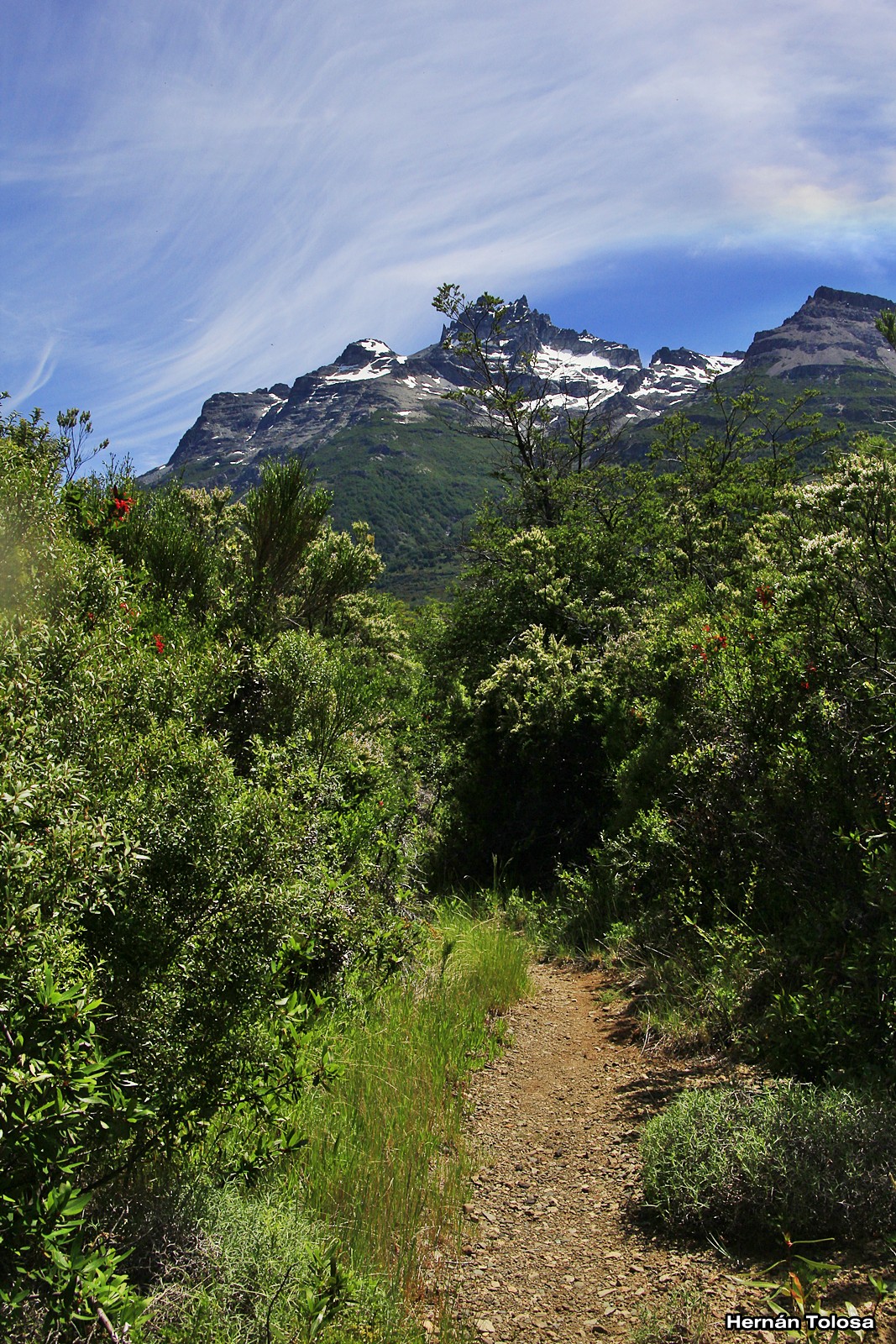 Patagonia Sendero Laguna del Toro