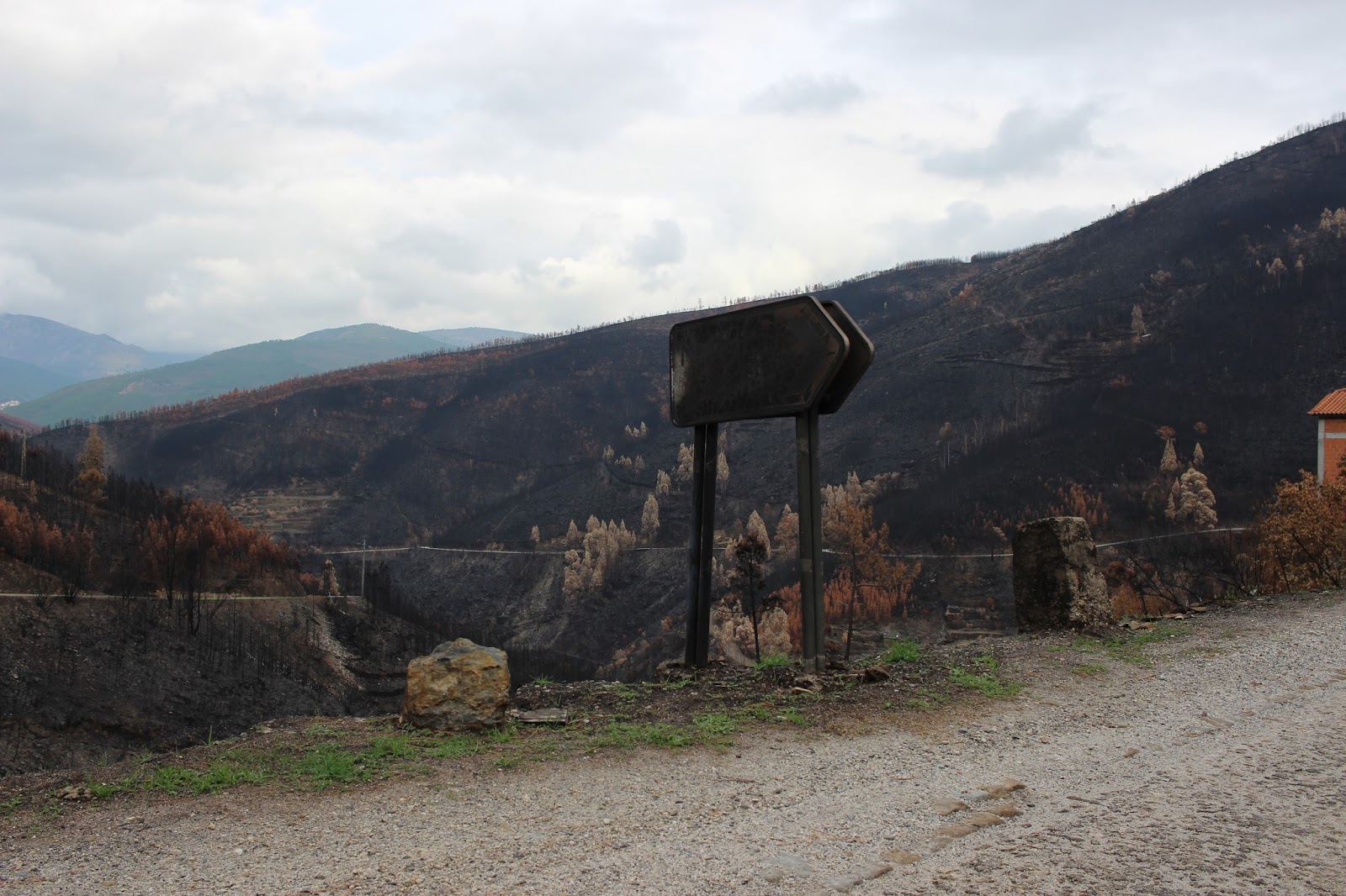 Portugal ardeu (ou «Um Resumo do Nosso FimdeSemana») Let's Run Away