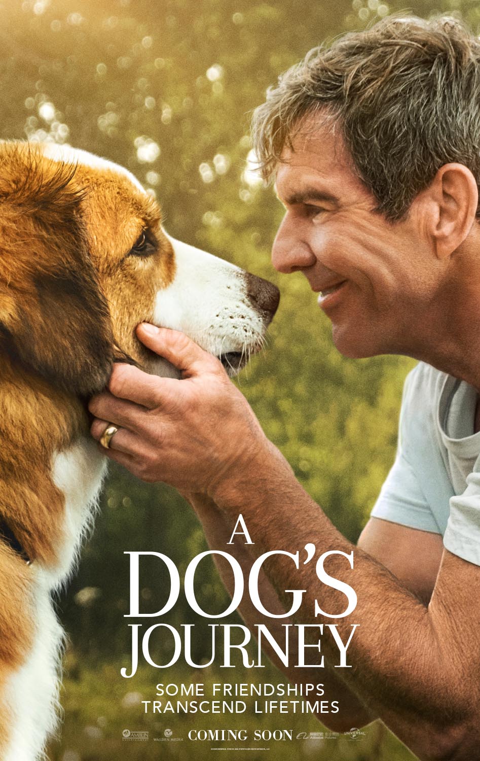 Mes Autres Vies De Chien MES AUTRES VIES DE CHIEN - A DOG'S JOURNEY - 2019 - A Dog's Purpose 2