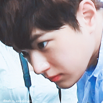 181221-PrivateLifeofAnimals-E05-L11-crop